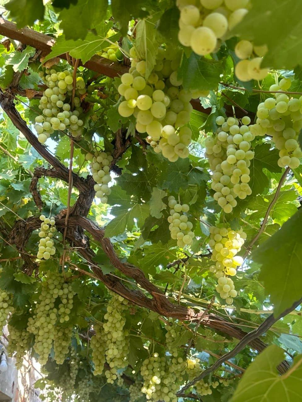 B&B Ruzan Yeghegnadzor Екстер'єр фото